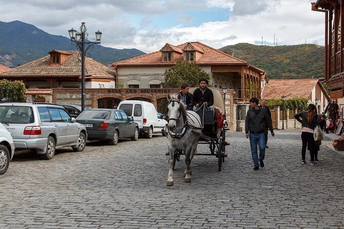 Mtskheta - Jvari Private Tour + Chronicles of Georgia - Who should book this tour (and who might want something else)