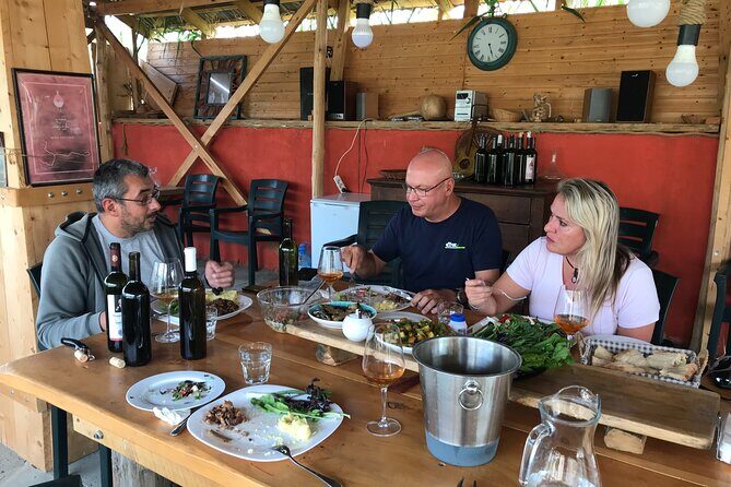 Natural Wine Tour to Kartli region, lunch & wine tasting at Andro Barnovi - Exploring Andro’s Underground, Two-Level Winery