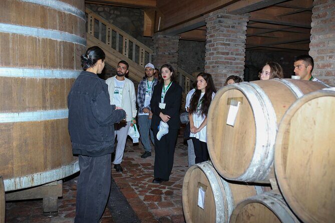 One Day Kakheti Tour with Wine Tasting and Free Churchkhela - Telavi: wine country time, fortress ruins, and where lunch should happen