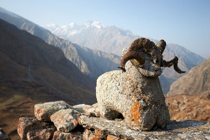 Private day trip to the Caucasus mountains and the Russian border - Price and value: is $95 fair for a full Kazbegi border day?