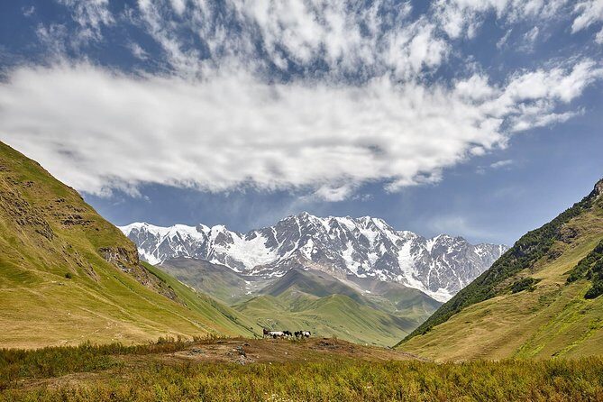 Private five days tour to Svaneti-Mestia, Ushguli, Becho,Chalaadi - Price and logistics: what $50 a person covers in real value