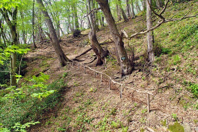 Private Hiking Tour to Machakhela National Park from Batumi - The Mtavarangelozi hiking trail: what the 8 km moderate hike feels like