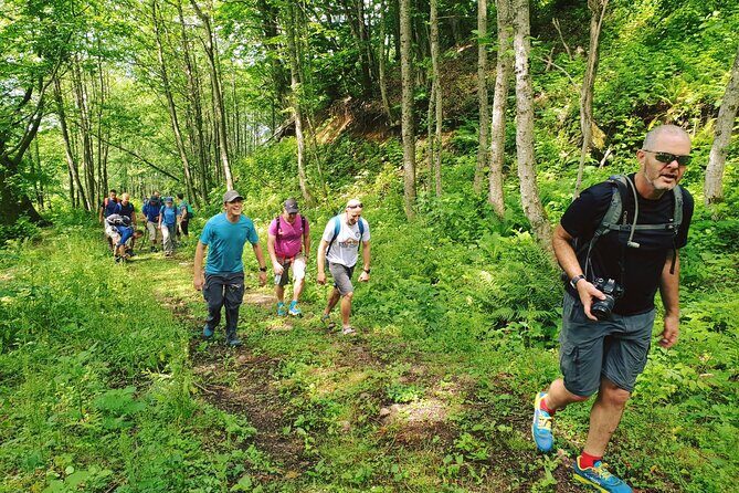Private Hiking Tour to Machakhela National Park from Batumi - Getting moving: the 10:00am start and Batumi pickup