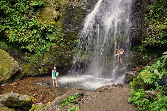Private Hiking Tour to Mtirala National Park from Batumi - Key highlights that make this Mtirala day work