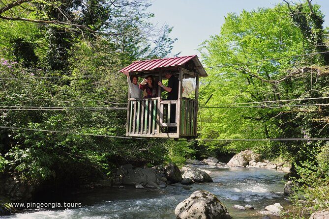 Private Hiking Tour to Mtirala National Park from Batumi - The Chestnut trail: easy hiking with real payoff