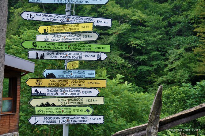 Private Hiking Tour to Mtirala National Park from Batumi - Cable car and trekking poles: the comfort upgrades you’ll notice