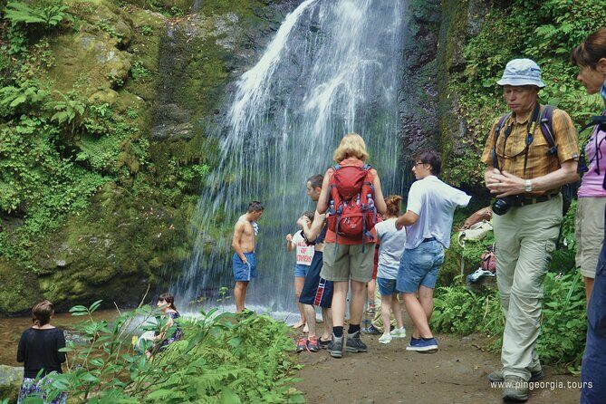 Private Hiking Tour to Mtirala National Park from Batumi - Should you book this Mtirala hiking tour from Batumi?