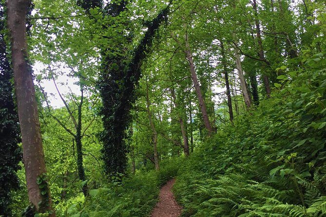 Private Hiking Tour to Mtirala National Park from Batumi - Lake and waterfall time: scenic stops and swim-friendly spots