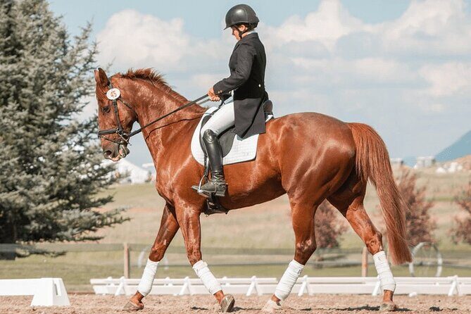 Private Horse Ridding tour - Key things to know before you go