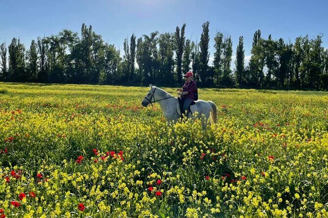 Private Horse Ridding tour - What’s included: why the equipment and instructor drive the value