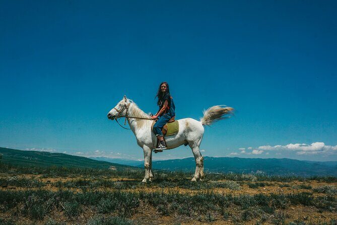 Private Horse Riding Adventure in Tbilisi - What Happens During Your 1-Hour Private Ride