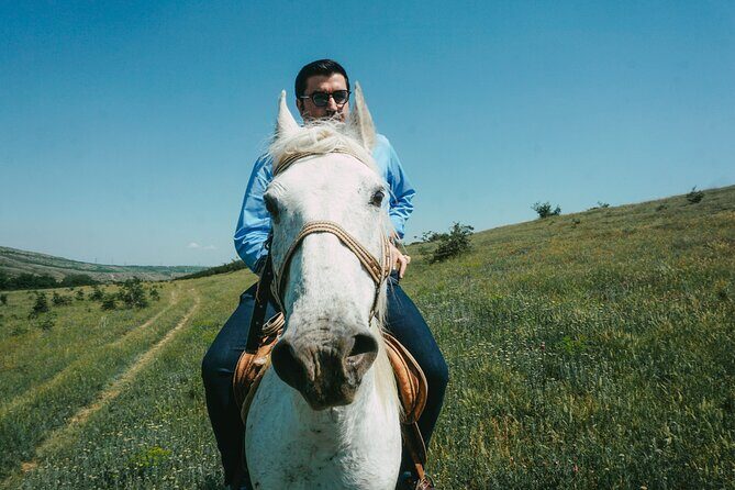 Private Horse Riding Adventure in Tbilisi - Gallop on Nice Paths: What to Expect (and What Not to Assume)