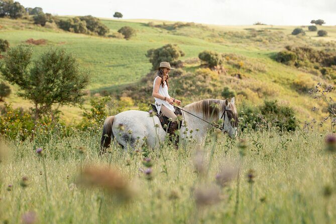 Private Horse Riding Adventure in Tbilisi - Beginner Coaching: How They Help You Feel Safe
