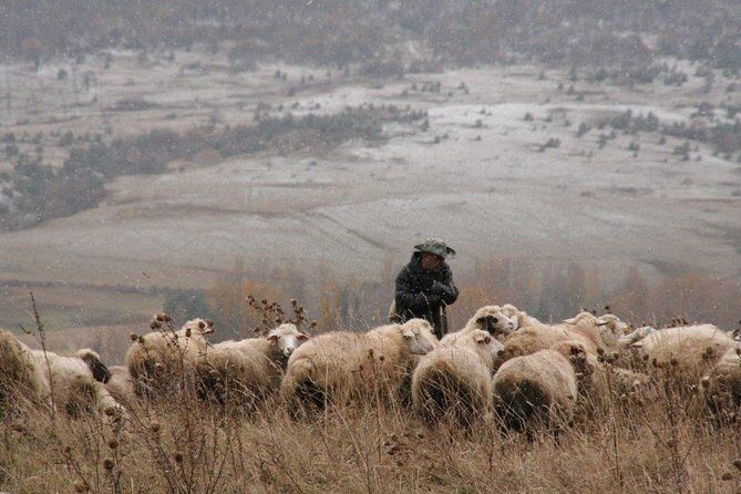 Private Tour to Kazbegi from Tbilisi - Key highlights worth your attention