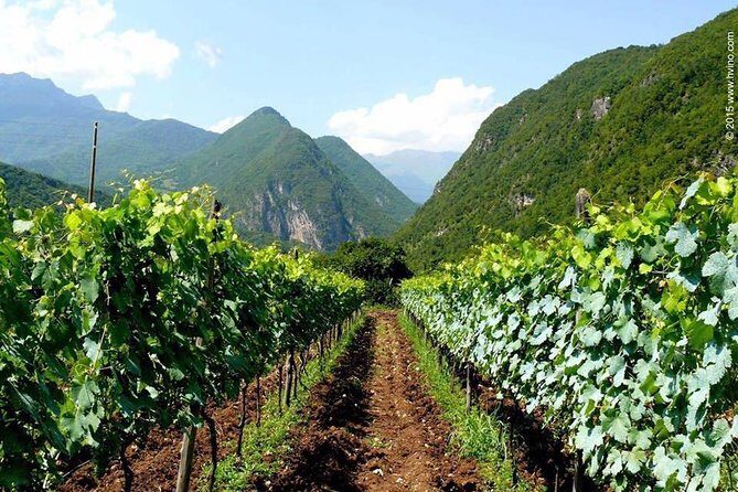 Private Tour to Mtskheta and Georgian Wine Tasting from Tbilisi - Lunch in Mtskheta: A Practical Reset Between Sights and Wine