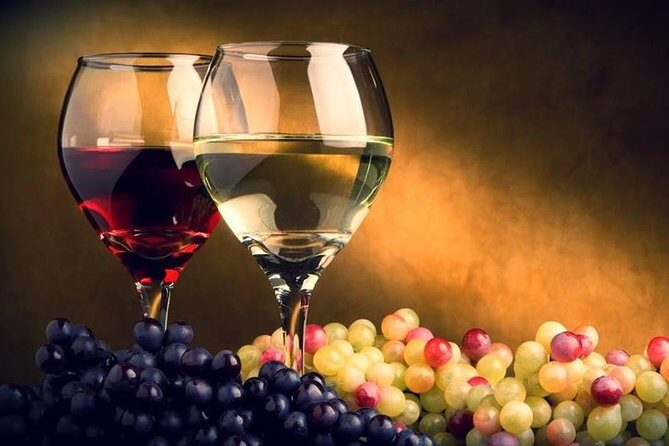 Private Tour to Mtskheta and Georgian Wine Tasting from Tbilisi - Who This Tour Fits Best