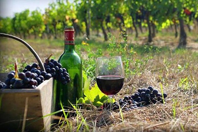Private Wine Tour to Kakheti from Tbilisi - From Tbilisi to Gombori Pass: The Scenic Drive Start