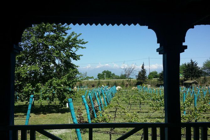 Private Wine Tour to Kakheti from Tbilisi - Tsinandali Palace and Winery: Chavchavadze’s 19th-Century Revival