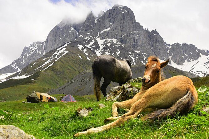 Round Trip Bus Transfer to Juta from Kazbegi - Price and value: why $22.55 can make sense