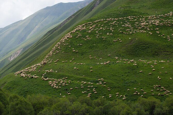 Round-Trip Bus Transfer to Truso Valley from Kazbegi - Key Things to Know Before You Go