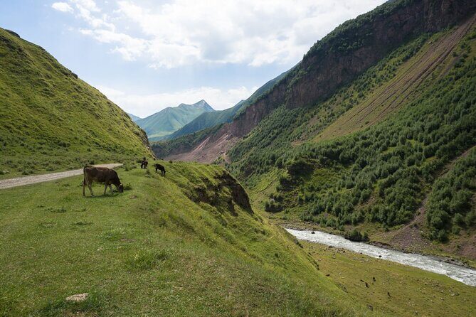 Round-Trip Bus Transfer to Truso Valley from Kazbegi - Picnic, Shepherds, and That Valley Rhythm You Can Actually Use