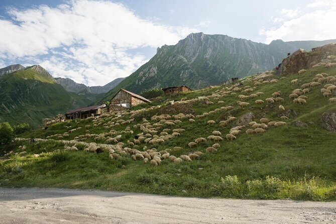 Round-Trip Bus Transfer to Truso Valley from Kazbegi - Price and Logistics: What $22.53 Really Buys
