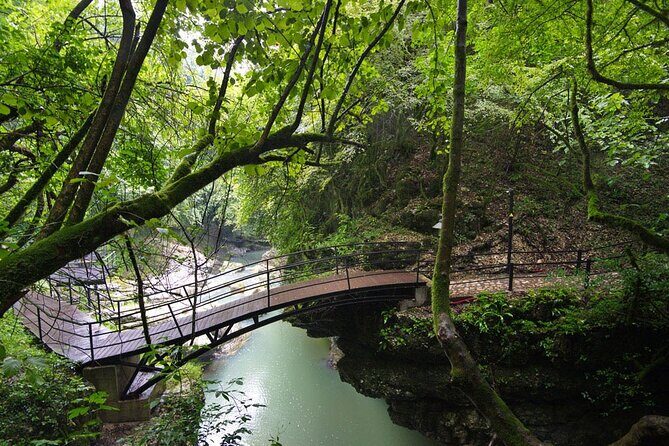 Sabaduri forest, Chronicles of Georgia, wolves and bears Zoo - Organic wine tasting and cheesemaking class (the food part that matters)