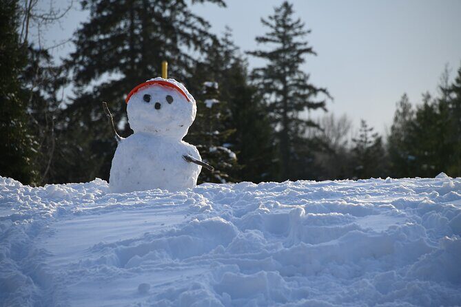 Ski & Snow Tour to Bakuriani from Kutaisi with Borjomi Stop - Gondola to Around 2,700 Meters: When You Trade Time for Views