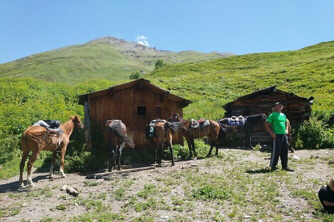 Svaneti Mountain Villages 4x4 Safari, tour from Kutaisi - Price and logistics: what $136.84 gets you, and what costs extra