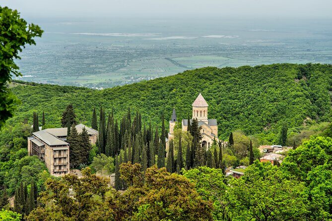 Taste of Kakheti: Wine Tour Bread Baking & Churchkhela Workshop - Telavi’s giant plane tree: a quick photo stop that still feels real