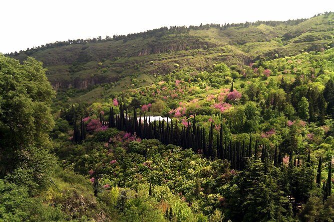 Tbilisi & Mtskheta city tour - Practical tips to make the day smoother