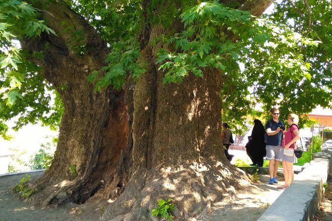 Tour to Kakheti. Sighnaghi –Bodbe Monastery –Tsinandali –Telavi –Winery –Gombori - Winery Time in Kakheti: Tasting With a Real Sense of Place