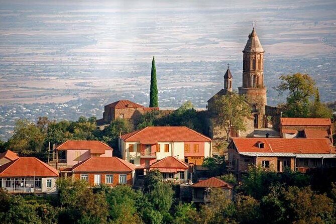 Whole day Wine Tour to Kakheti from Tbilisi - Key moments to watch for