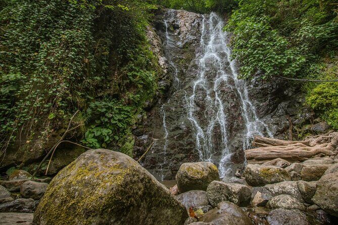 Wine and Dine Tour To Batumi Waterfalls - Mountainous Adjara - The bridge details you’ll actually care about (and why they matter)