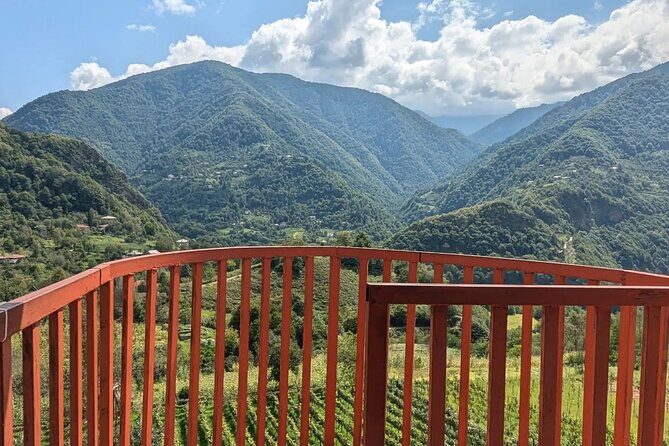 Wine and Dine Tour To Batumi Waterfalls - Mountainous Adjara - What to bring for a smooth waterfall-to-wine day
