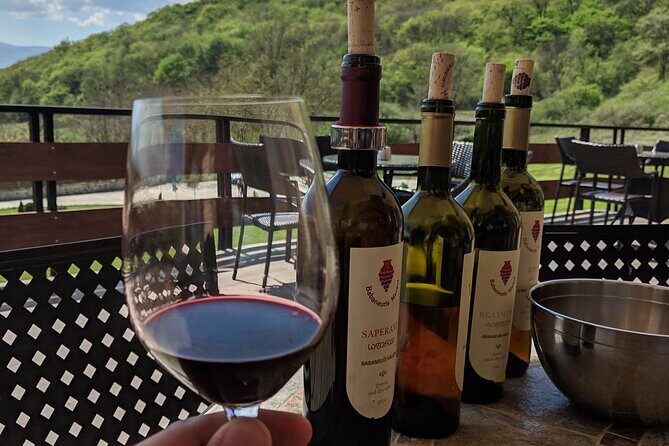 Wine Tasting Tour in Georgia's Cradle of Wine - Should You Book This Kakheti Wine Tasting Tour?